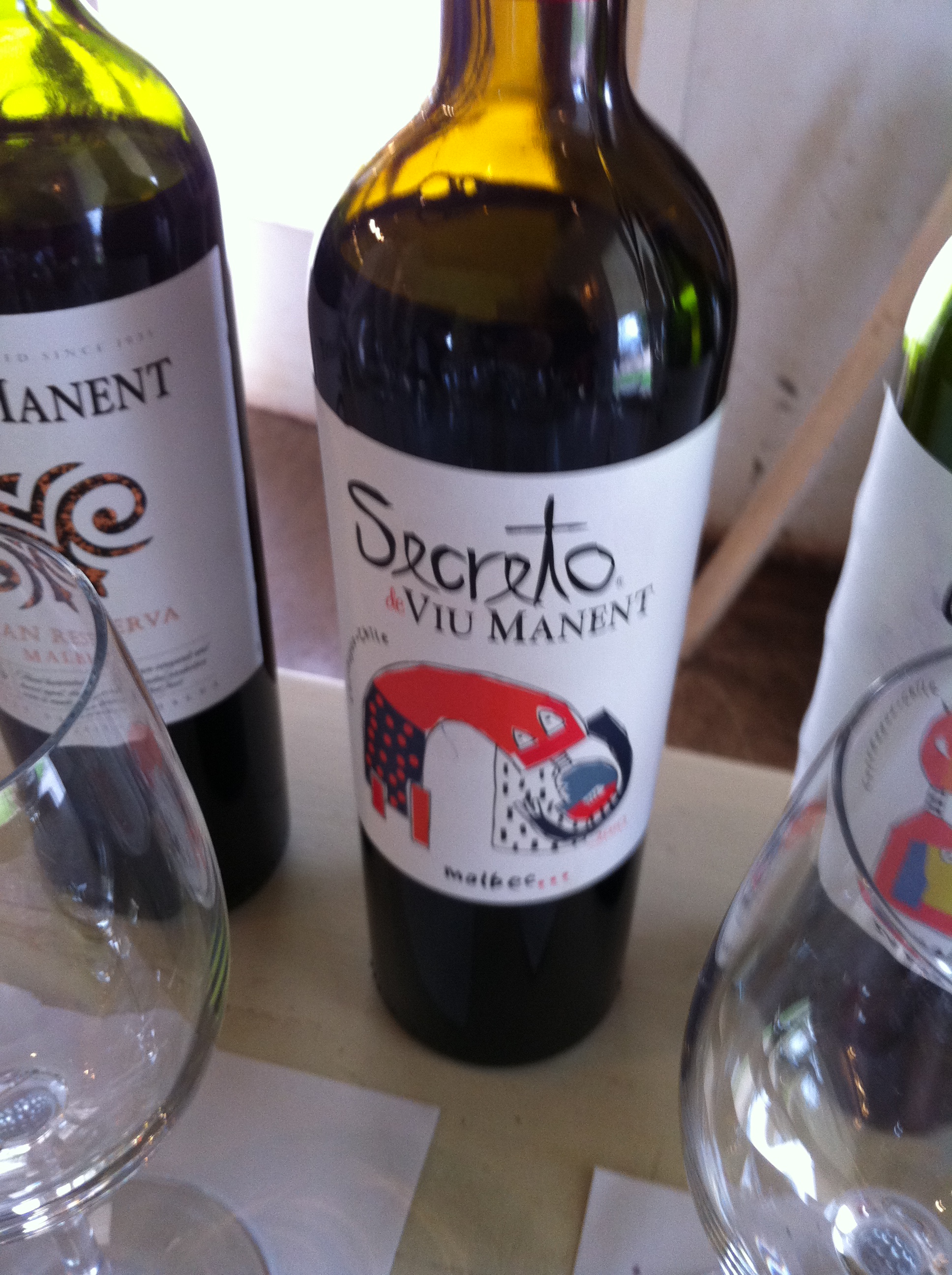 Chile wine pictures 448